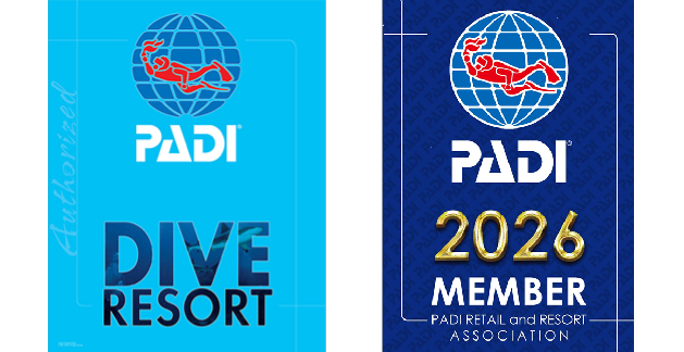 ダイビングショップJic久米島